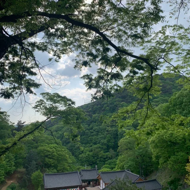 짜아아앙