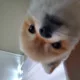 하독