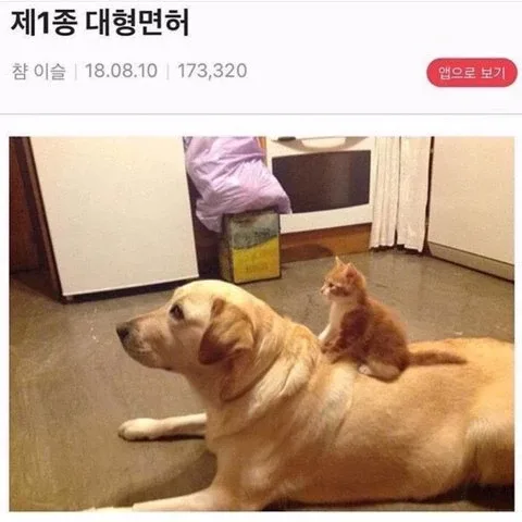 산책