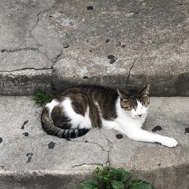 둥둥