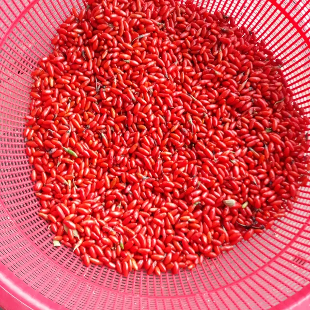 진천동