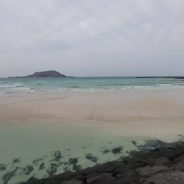상동맘모스