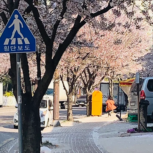 뽀로롱