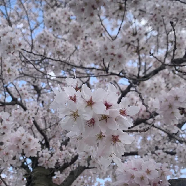 뿌링클다내꺼