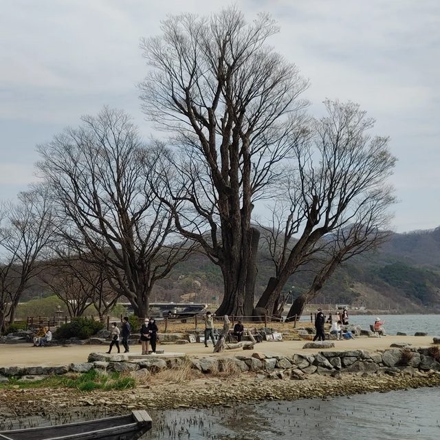 리뷰 프로필 이미지