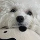 백설