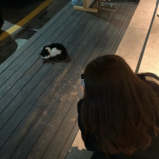 동글