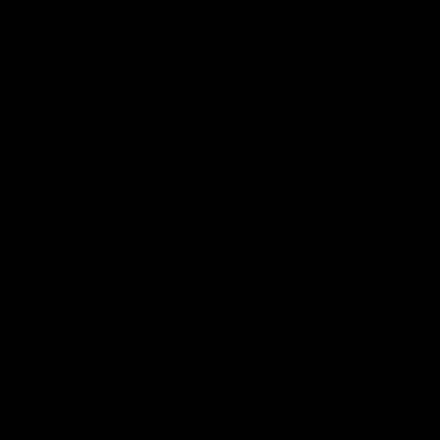 캐럿