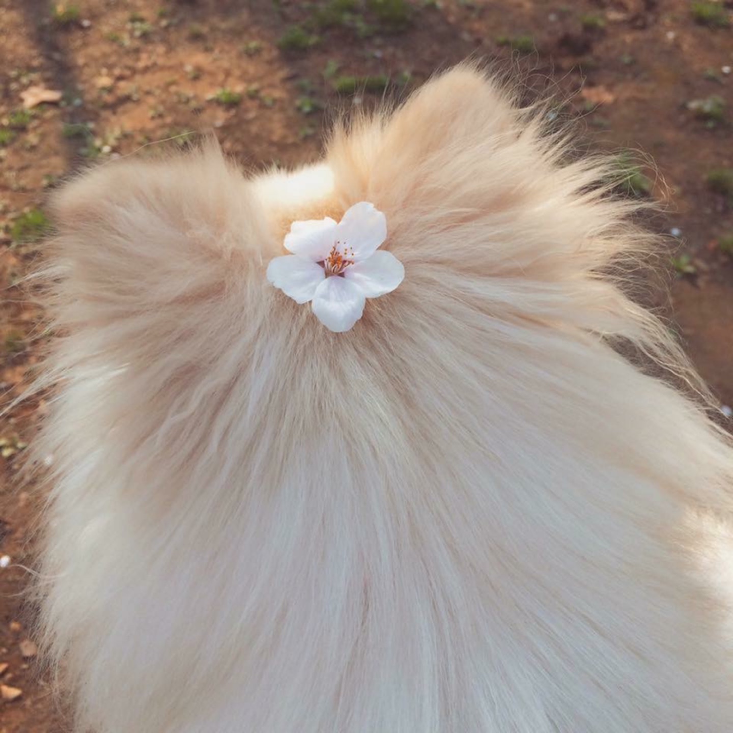 눈누난나