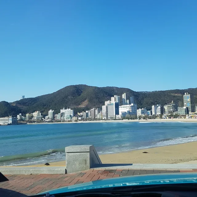 호앵이