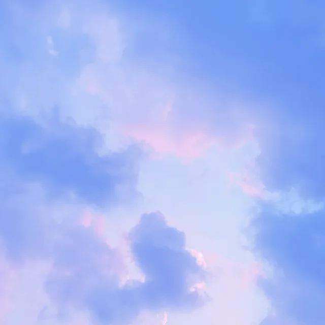 신선함