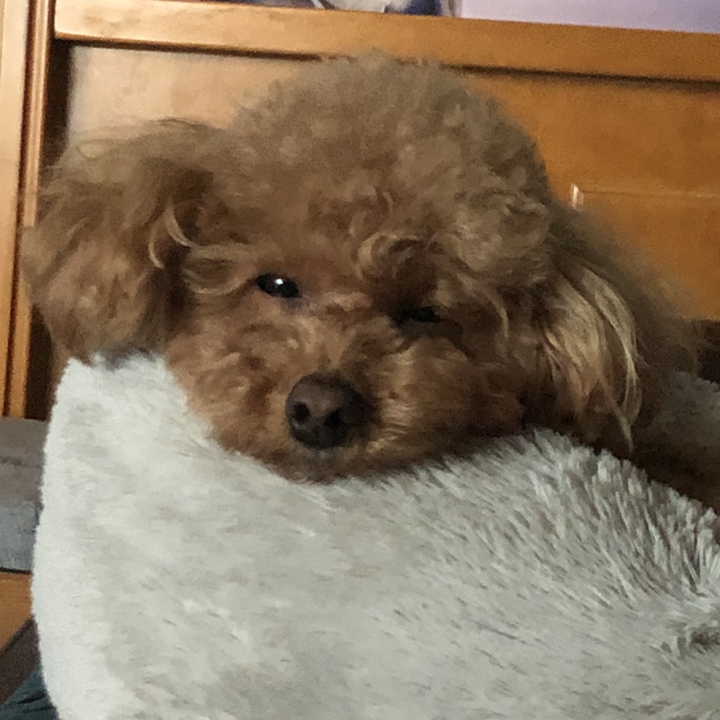찌우몬