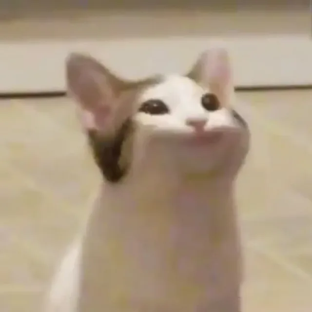 소크라테스