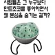 제니