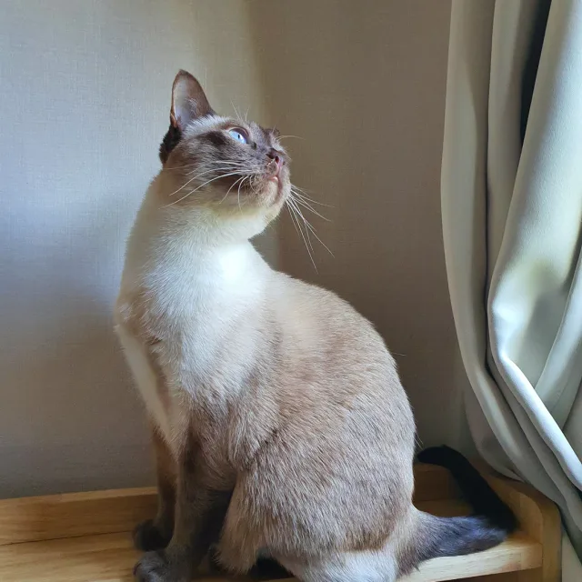 profile