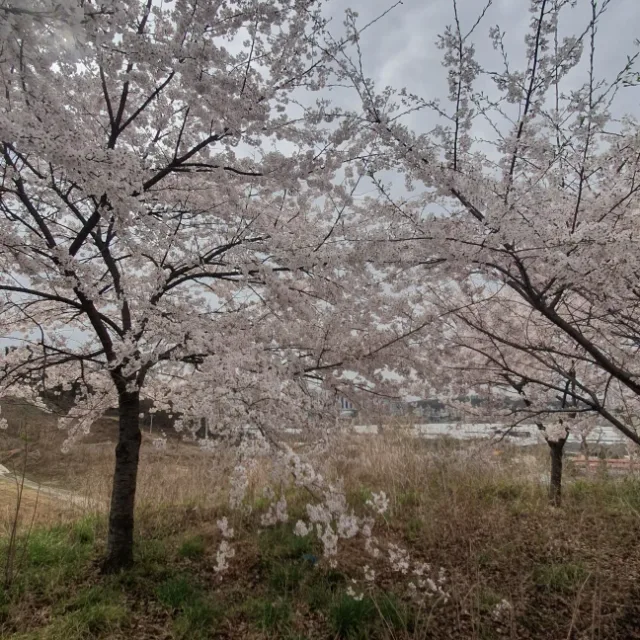당신의날씨