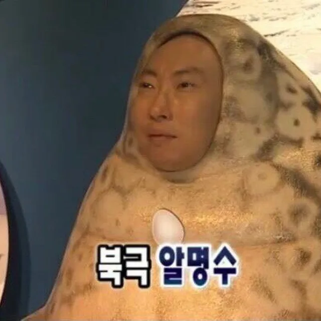 북극알명수