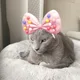 후추마미