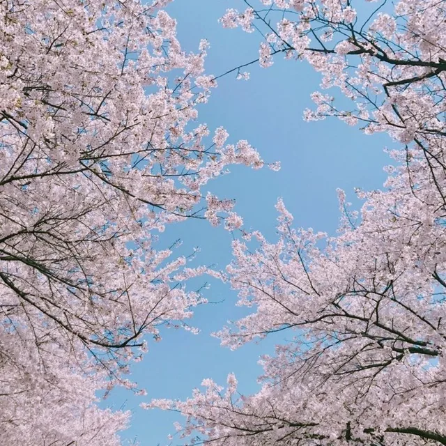 난달라