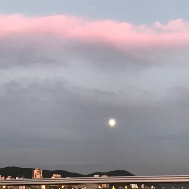 레이치