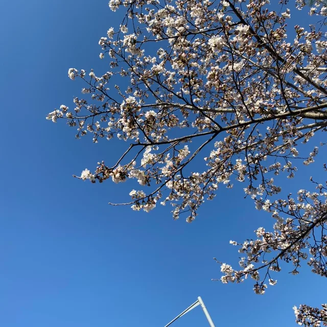 열무