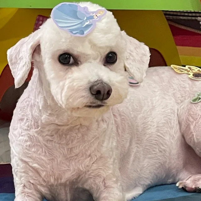 우이이이니