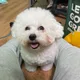 관보
