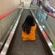 쀼까