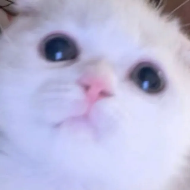 곰탕