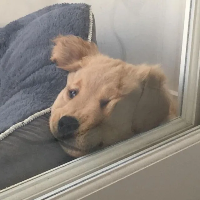 유유