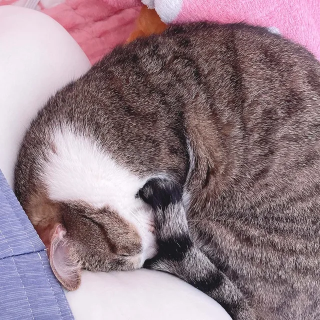 용용