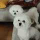 싸게팔아요