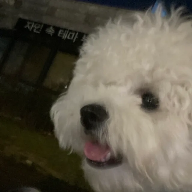 득템