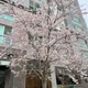 굿라이더