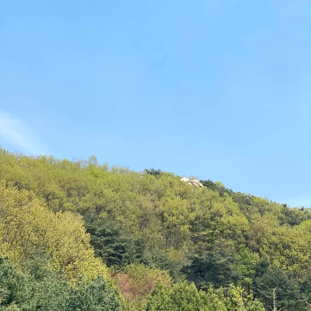 꼬보방