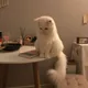 머니
