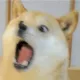 사이먼