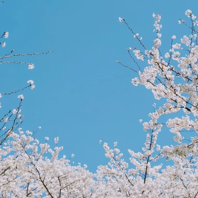 문또니