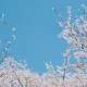 문또니