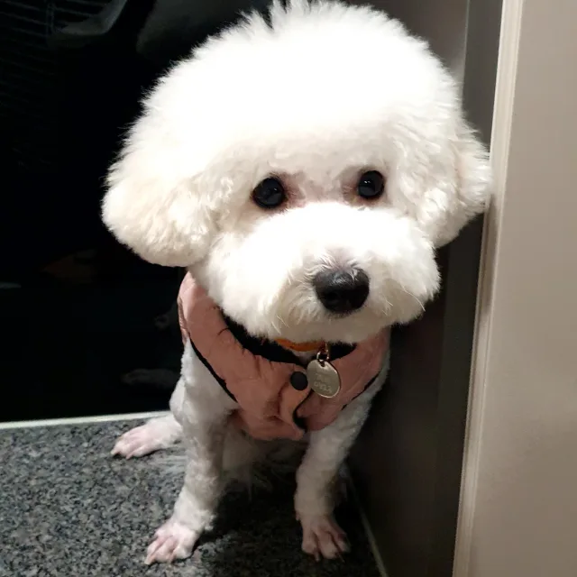 구름이