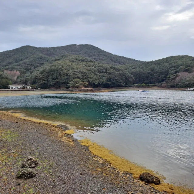 김팀장