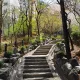 당근이요