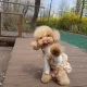 별하