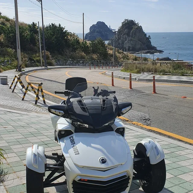 profile