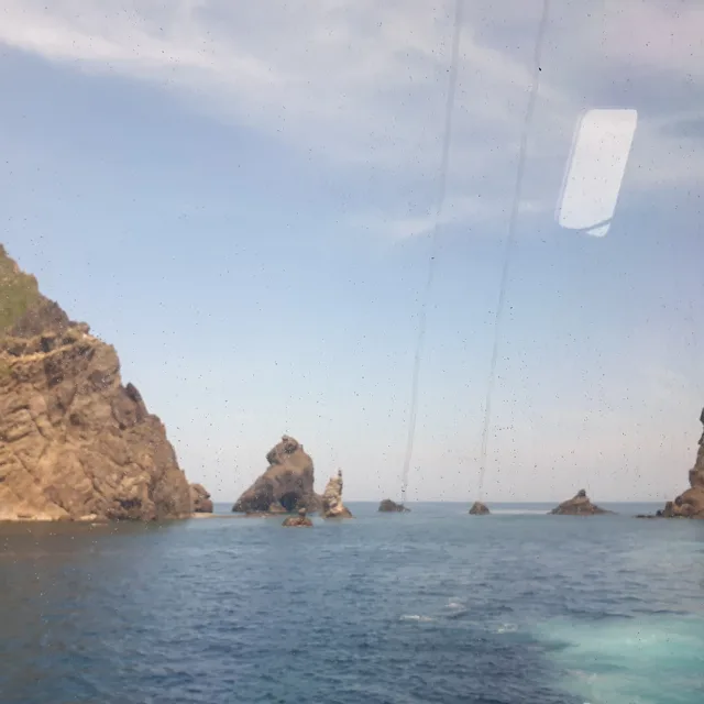 미니멀리스트