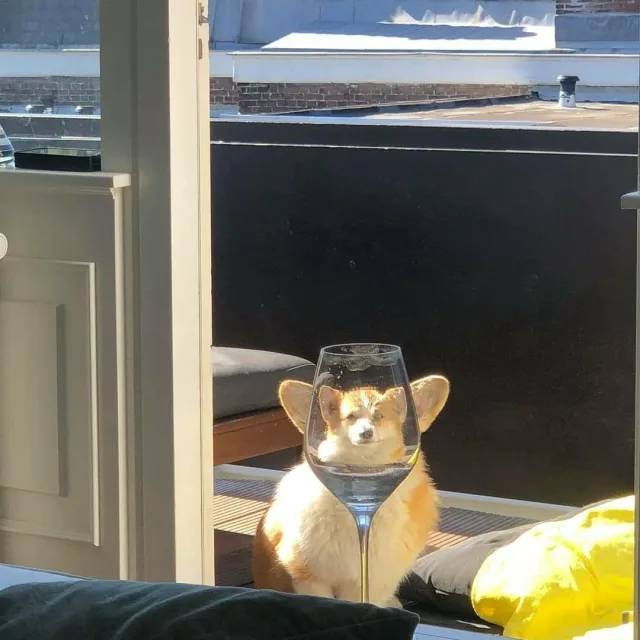 양양양