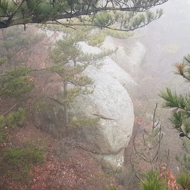 에바