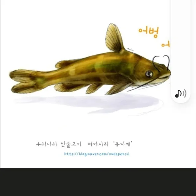 빠가사리