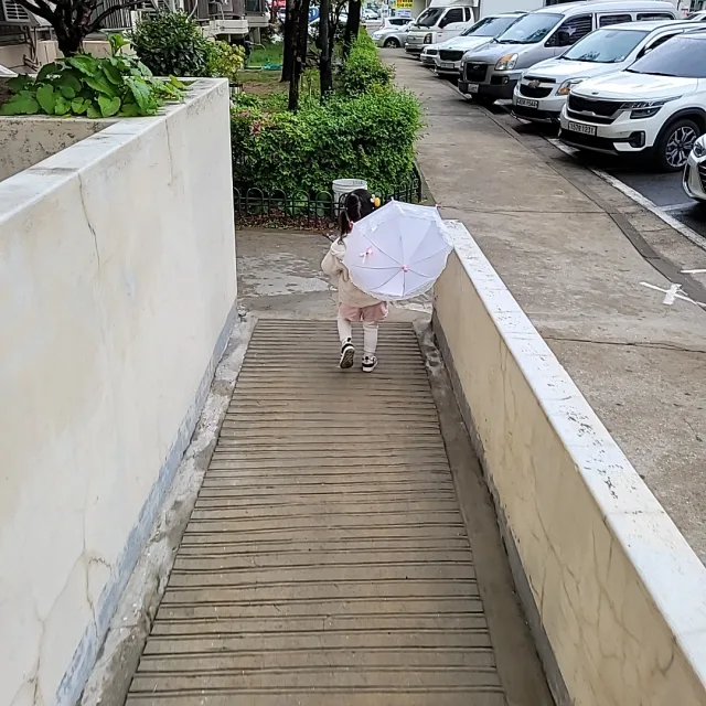 월피보리