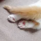 누룽이